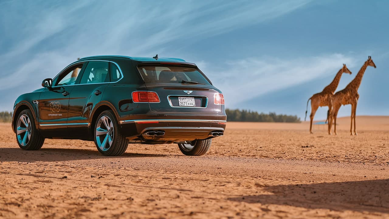 Marketing Impact Solutions Abu Dhabi