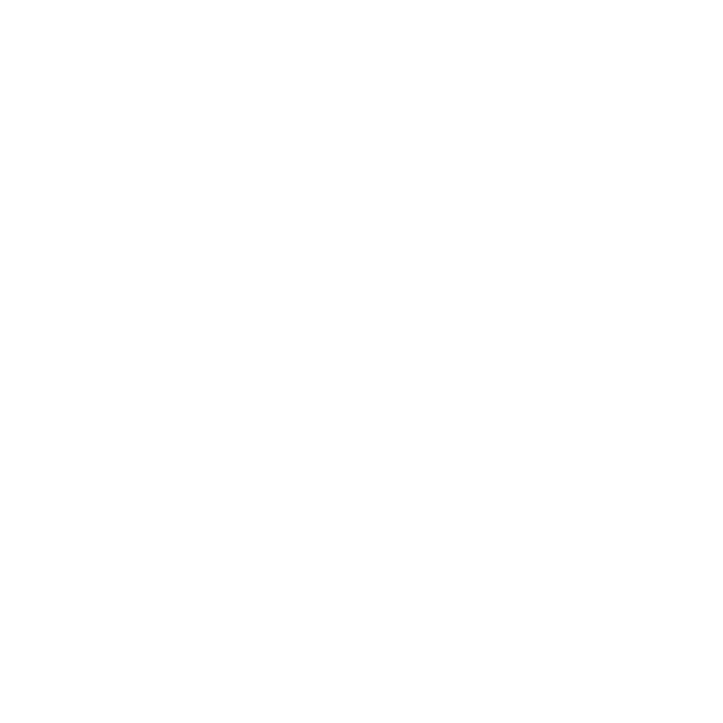 Porche logo white 1025x1025